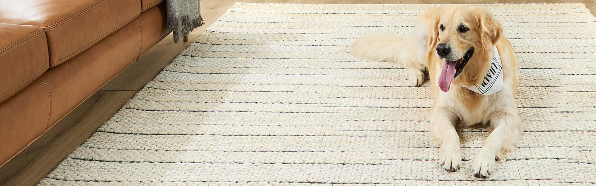 Lavin | 25% Off Entire Line | ends 10.8