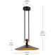 Tenon LED Black Pendant Ceiling Light