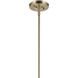 Laria 1 Light Champagne Bronze Pendant Ceiling Light in Opal
