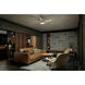 Daya 54 inch Brushed Nickel with Silver Blades Ceiling Fan