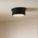 Serca 2 Light 14.25 inch Black Flush Mount Ceiling Light