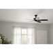 Renew 52 inch Satin Black Ceiling Fan
