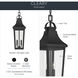 Cleary 2 Light 8.5 inch Textured Black Outdoor Pendant