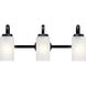 Kennewick 3 Light 22.75 inch Black Bath Vanity Light Wall Light