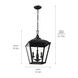 Homestead Dame 3 Light 13 inch Textured Black Pendant Ceiling Light, Dame