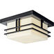 Tremillo 2 Light 12 inch Black Outdoor Flush & Semi Flush Mt