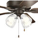 Basics Pro Premier 52 inch Satin Natural Bronze with Cherry Blades Ceiling Fan in 2700K, Clear Seeded