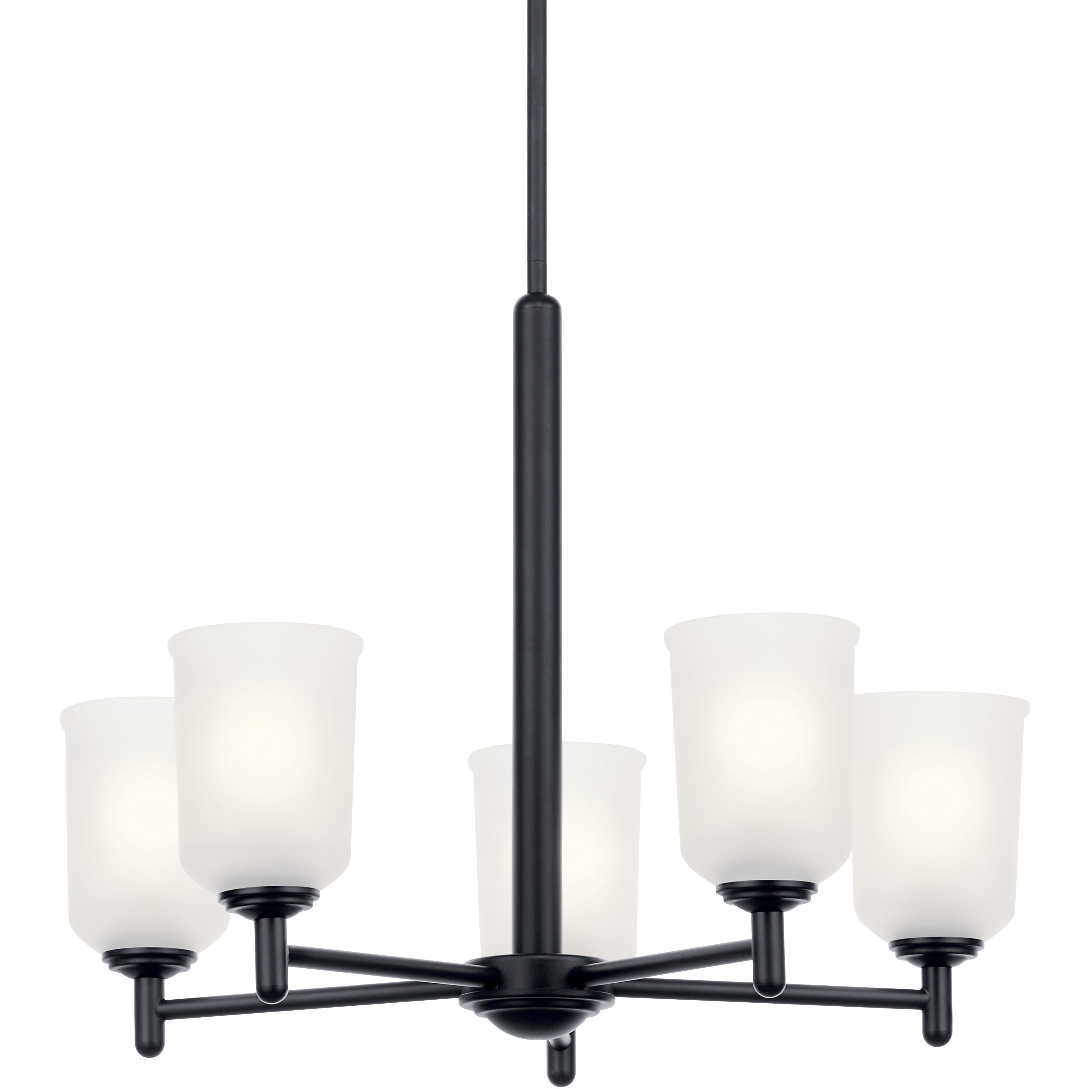 Shailene 5 Light 23.75 inch Black Chandelier Ceiling Light, Medium