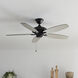 Renew Es 52 inch Satin Black Ceiling Fan