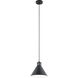 Zailey 1 Light 11 inch Black Pendant Ceiling Light