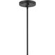 Odensa LED 21 inch Black Oval Chandelier Ceiling Light