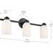 Shae 3 Light 24.25 inch Black Vanity Light Wall Light