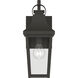 Cleary 1 Light 16 inch Olde Bronze Outdoor Wall Light