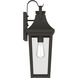 Cleary 1 Light 20 inch Olde Bronze Outdoor Wall Light
