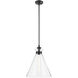 Laria 1 Light Black Pendant Ceiling Light in Clear