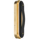 Tauri LED 5.25 inch Lacquered Brass Wall Sconce Wall Light
