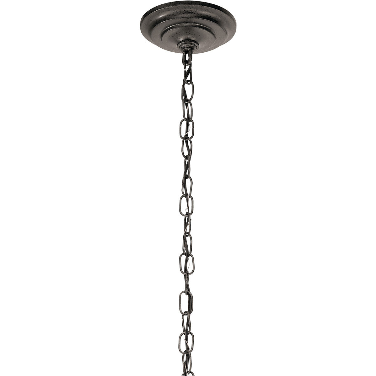 Botanica 5 Light 24 inch Anvil Iron Chandelier 1 Tier Medium Ceiling Light, 1 Tier Medium