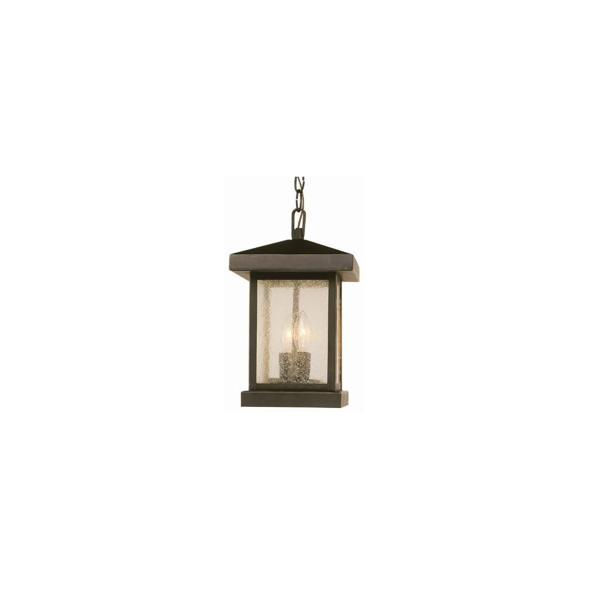 Santa Cruz 2 Light 8 inch Weathered Bronze Outdoor Hanging Lantern