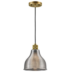 Devin 1 Light 8 inch Natural Brass Mini Pendant Ceiling Light in Smoke Ribbed