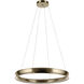 Larousse 1 Light Chandelier