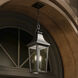 Cleary 2 Light 8.5 inch Textured Black Outdoor Pendant