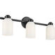 Shae 3 Light 24.25 inch Black Vanity Light Wall Light