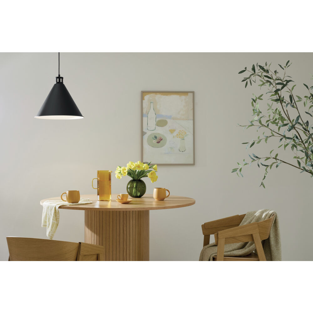 Zailey 1 Light Black Pendant Ceiling Light