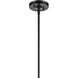 Laria 1 Light Black Pendant Ceiling Light in Clear