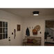 Serca 2 Light 14.25 inch Black Flush Mount Ceiling Light