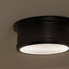 Serca 2 Light 14.25 inch Black Flush Mount Ceiling Light