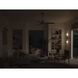 Ridley 60 inch Brushed Stainless Steel with Medium Oak Blades Ceiling Fan