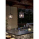 Argyle 1 Light 10 inch Weathered Zinc Outdoor Hanging Pendant in Incandescent
