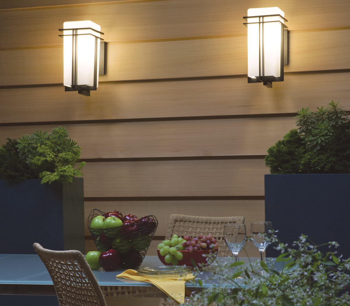 Tremillo 1 Light 17 inch Black Outdoor Wall, Medium