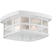Outdoor Ceiling Lights