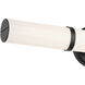 Rosh LED 24.25 inch Black Bath Bar Wall Light, Medium