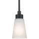 Erma 1 Light Black Mini Pendant Ceiling Light