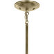 Shailene 5 Light Natural Brass Chandelier Ceiling Light in Clear