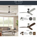 Ried 56 inch Brushed Nickel with Medium Walnut Blades Ceiling Fan
