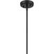 Everly 1 Light Black Pendant Ceiling Light in Clear Seeded