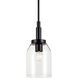 Madden 1 Light Black Mini Pendant Ceiling Light