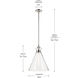 Laria 1 Light Polished Nickel Pendant Ceiling Light in Clear