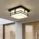 Tremillo 2 Light 12 inch Black Outdoor Flush & Semi Flush Mt