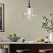Laria 1 Light Black Pendant Ceiling Light in Clear