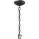 Homestead Dame 4 Light 19 inch Textured Black Foyer Pendant Ceiling Light, Dame