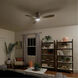 Bead 54 inch Brushed Stainless Steel with Silver Blades Ceiling Fan