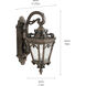 Tournai 1 Light 18 inch Londonderry Outdoor Wall, Medium