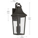 Cleary 3 Light 30 inch Olde Bronze Outdoor Wall Light