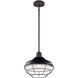 Pier 1 Light 13 inch Black Pendant/Semi Flush Ceiling Light