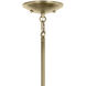 Shailene 5 Light Natural Brass Chandelier Ceiling Light in Clear