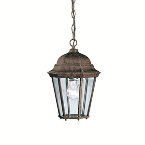 Madison 1 Light 9 inch Tannery Bronze Outdoor Hanging Pendant